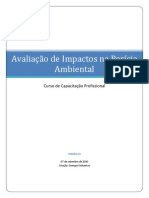 IMPACTOS AMBIENTAIS NA PERÍCIA AMBIENTAL Kaskantzis_2010 UFPR.pdf