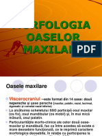 Curs 3 Morfologie - Maxilar