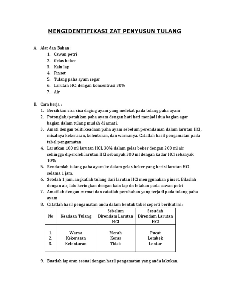 Mengidentifikasi Zat Penyusun Tulang Pdf