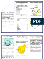 Folleto Fermentación de Chicha