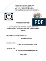 LEVANTAMIENTO DE OBSERVACIONES PROYECTO PATE DE GONADAS DE POTA OCTUBRE.doc