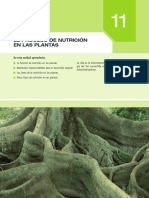 nutricion en plantas.pdf