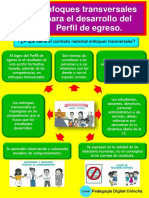 Enfoques Transversales para el desarrollo del Perfil de Egreso DESCARGAR PDF.pdf