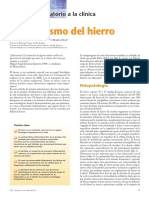 metabolismo del hierro