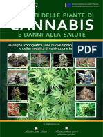 Manuale Iconografico Cannabis