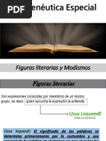 Hermneutica Especial-Figuras Literarias