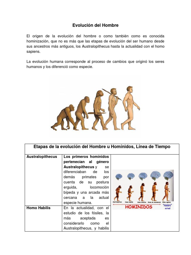 Evolusiocn Del Hombre | PDF | Homo | Evolución humana