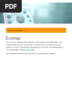 Ecomap Guide for Social Work Practice | PDF | Social Work | Health Care