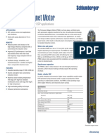 Permanent Magnet Motor Ps