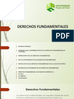 Derechos Fundamentales