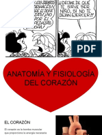 Anatomía y fisiología del corazón humano.