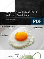 Parts of An Animal Cell and Its Functions: By: Cirel Jan V. Perito