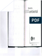 Derecho-Ambiental.pdf
