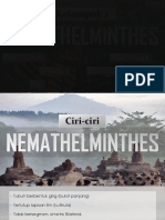 Nemathelminthes