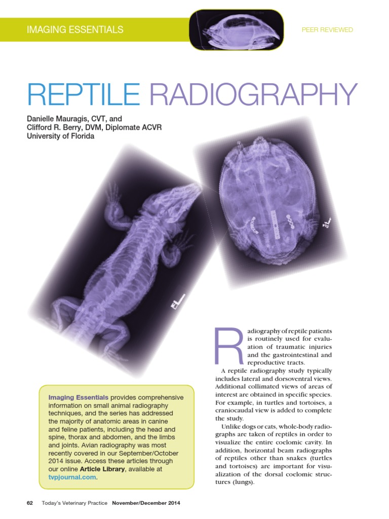Reptile Radiography Techniques Guide | PDF | Radiography | Radiology