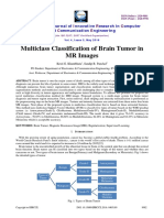 Multiclass Classification of Brain Tumor in MR Images