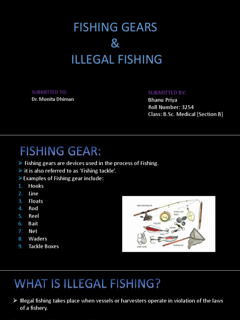 Fishing Gears | PDF | Fishing Tackle | Fishery