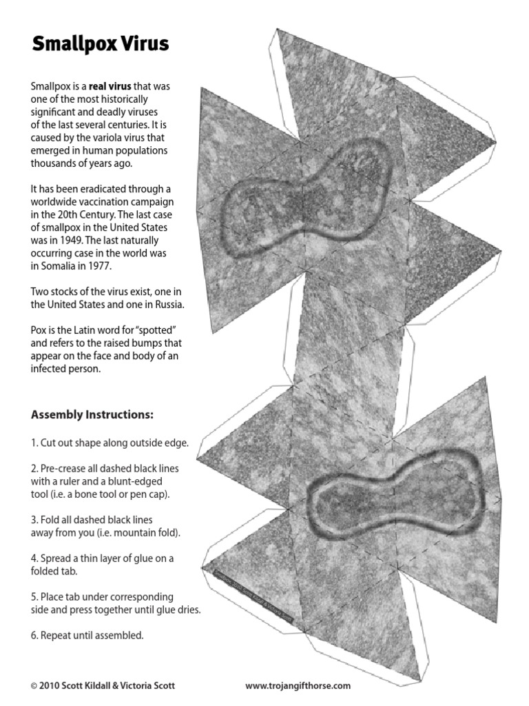 Smallpox Virus: Assembly Instructions | PDF