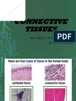Connective Tissues: Rochelle M. Delos Santos Ii-A1 Bs-Biology