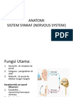 Anatomi-SYARAF