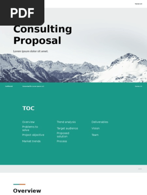 Consulting Proposal