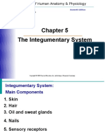 The Integumentary System: Elaine N. Marieb