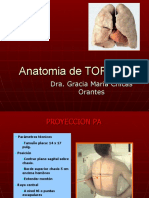 Anatomia do Tórax.pdf