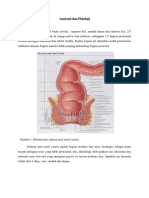 Anatomi Dan Fisiologi Hisprung