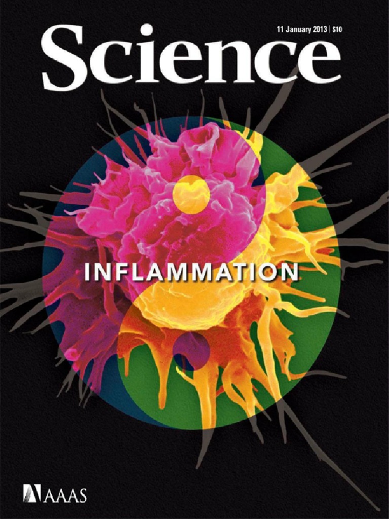 Download Inflammation Histone Gene