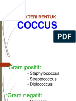 Coccus - I