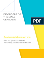 Disorders of The Male Genitalia