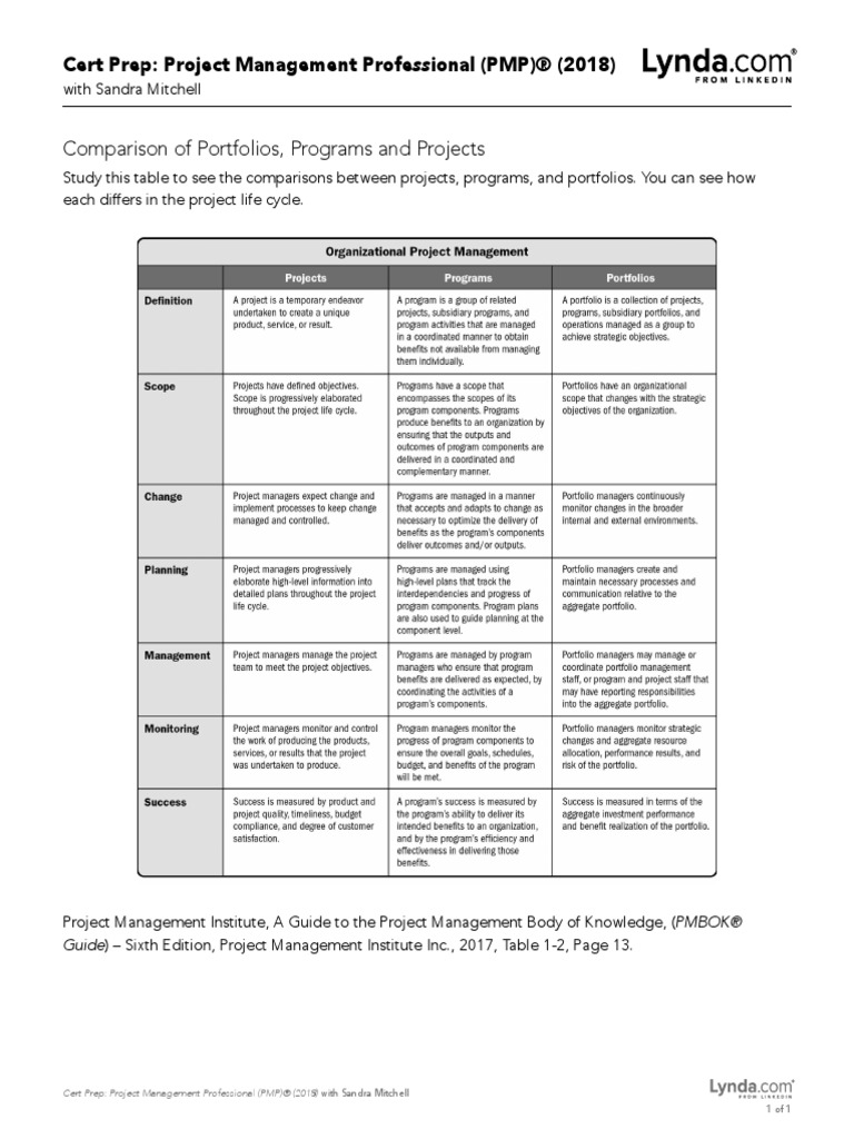 01 - 03 - Comparison of Portfolios Programs Projects | PDF