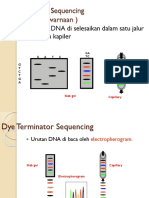 Dye Terminator Sequencing