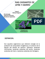 Bacterias Oxidantes de Hierro y Azufre