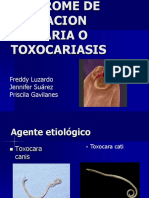 TOXOCARA