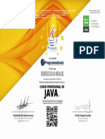Curso Profesional de Java ®.pdf