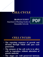 Cell Cycle: Irawan Yusuf