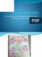 Plants Make Our Surroundings Beautiful and Help in Keeping The Environment Pollution Free