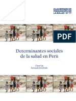 Determinantes Sociales en El Peru de Cesar Lip Rocabado