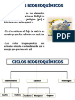 ciclos biogeoquímicos.pptx