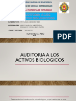 Auditoria A Los Activos-Biologicos-I