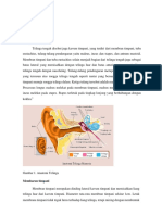 Basic Science Css Omsk