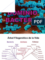 Clase 4 - Dominio Bacteria