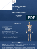 Histologia