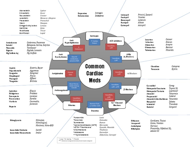 Cardiac Medications Overview Chart | PDF | Medicine | Clinical Medicine