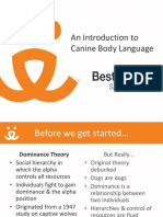 An Introduction To Canine Body Language