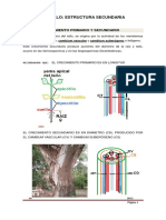 18._estructura_secundaria_del_tallo.pdf