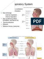 Anatomy Lecture Notes Exam3 