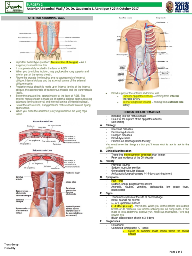 Anterior Abdominal Wall PDF Medical Specialties Clinical Medicine