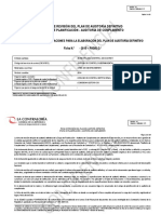 299888787-Ficha-Revision Plan de Aud